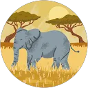 Elizabeth Jamieson profile picture